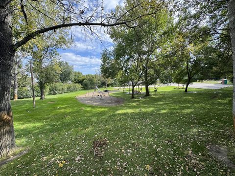 The tunnel of trees opens onto swings and shade trees, a short walk away