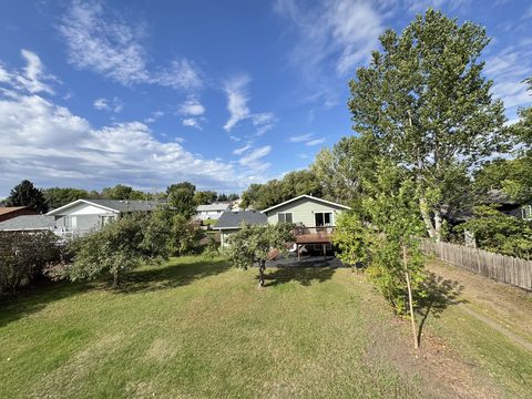 A big backyard framed by mature trees, with the deck above and the park beyond