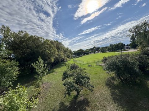 Mature trees on one side, open green space and a big prairie sky ahead
